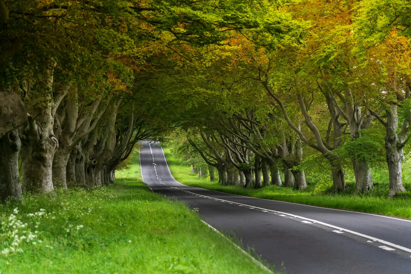 Ancient roads across the UK
